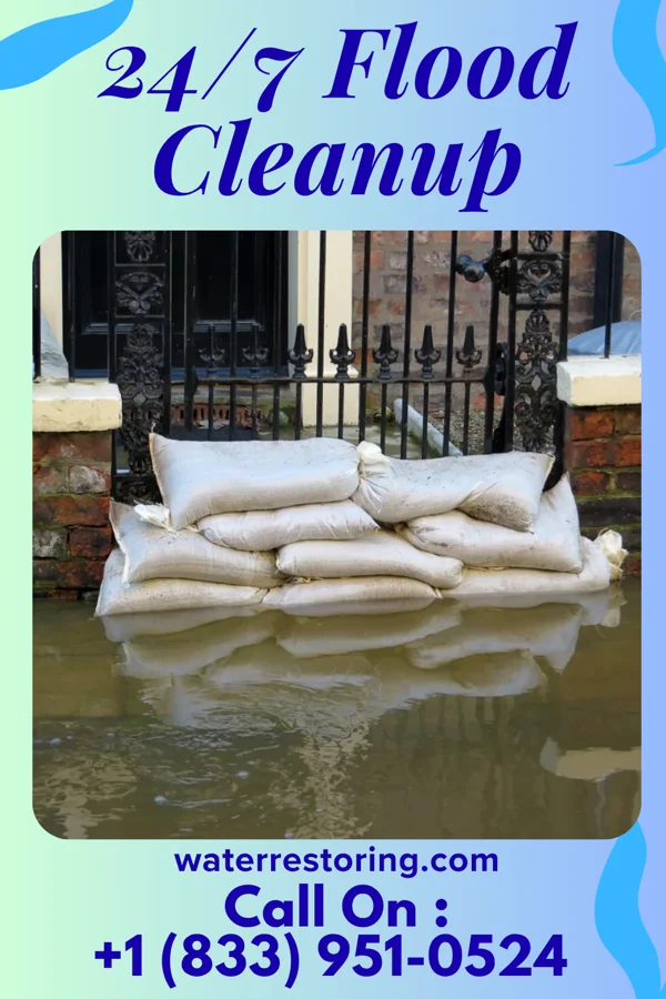 24/7 Flood Cleanup in Nebo, KY