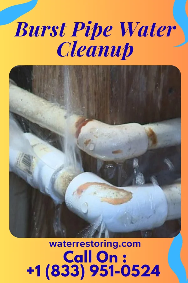 Burst Pipe Water Cleanup in Nebo, KY