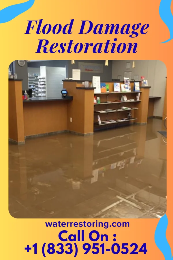 Flood Damage Restoration in Nebo, KY