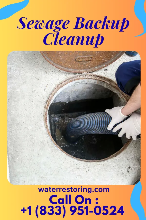 Sewage Backup Cleanup in Nebo, KY
