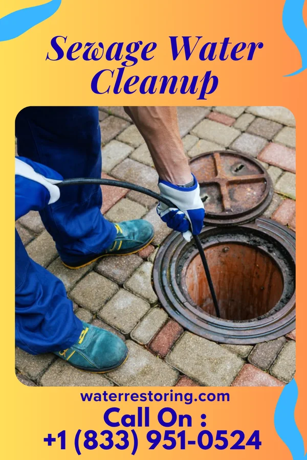 Sewage Water Cleanup in Nebo, KY